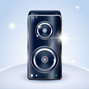 Bluetooth Speaker
